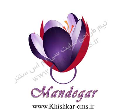 لوگوی شرکت بازرگانی ماندگار